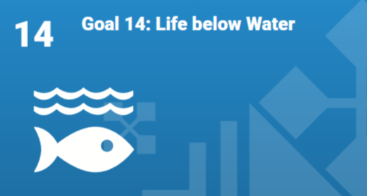 Goal 14
