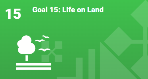 Goal 15