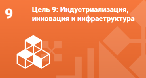 Цель 9